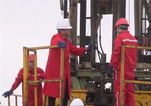 大港油田井下作业公司与准东采油厂开展技术交流 共促油田开采技术创新